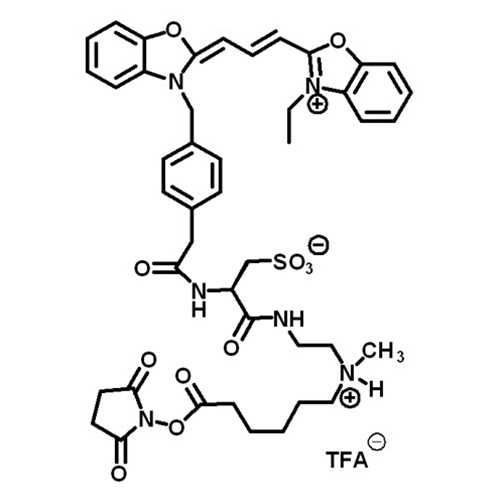 Z-Cy2 NHS Ester - Kerafast