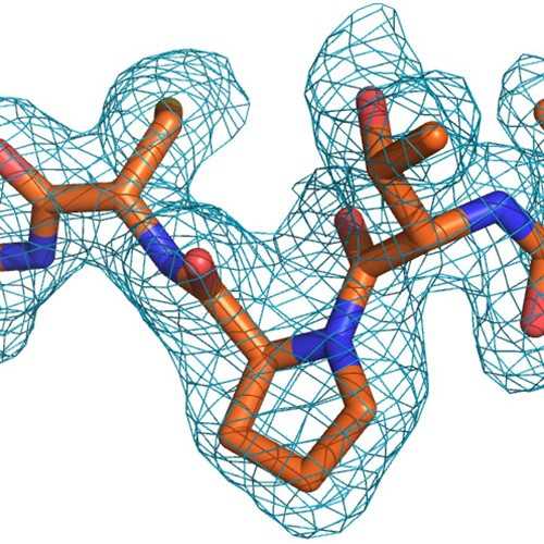 Murine Myelin Basic Protein, S133-S159, Calmodulin Binding Domain (MBP a3- peptide)