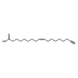 Carboxylic Acid-Based Probes - Kerafast